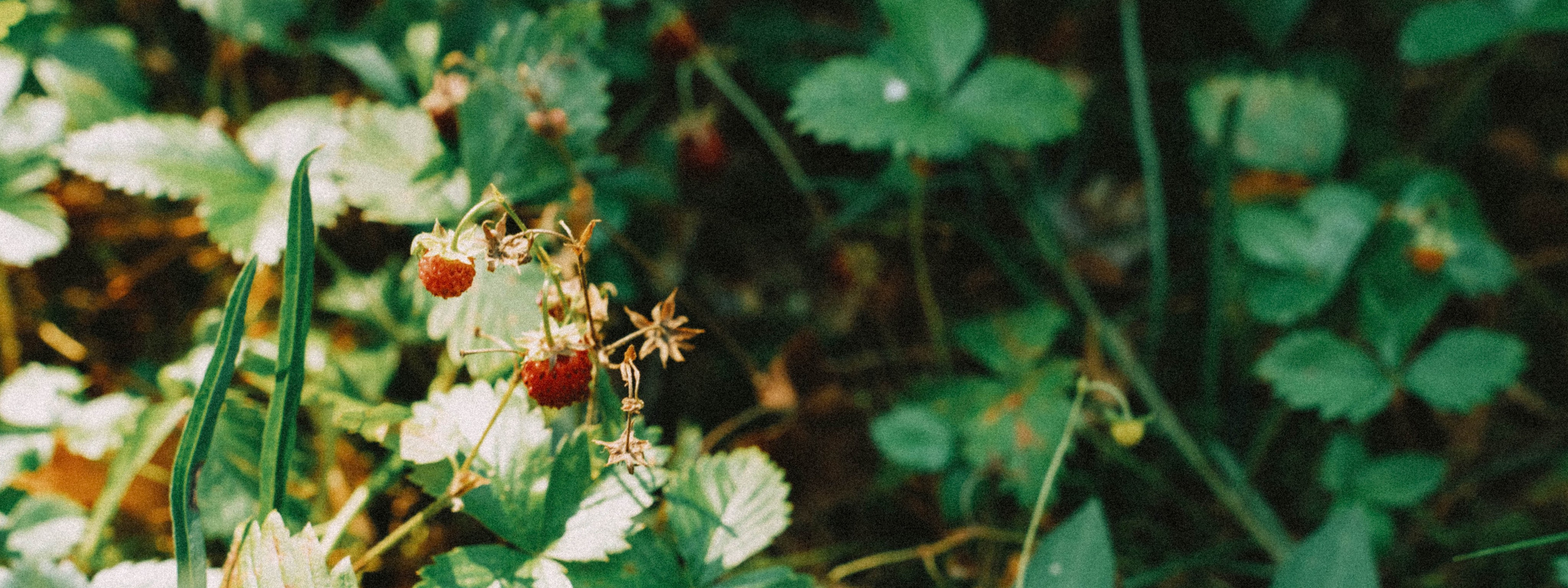 Нижний Новгород. Фотограф из Москвы — DASHA NOVA | Авторская фотография в разных жанрах