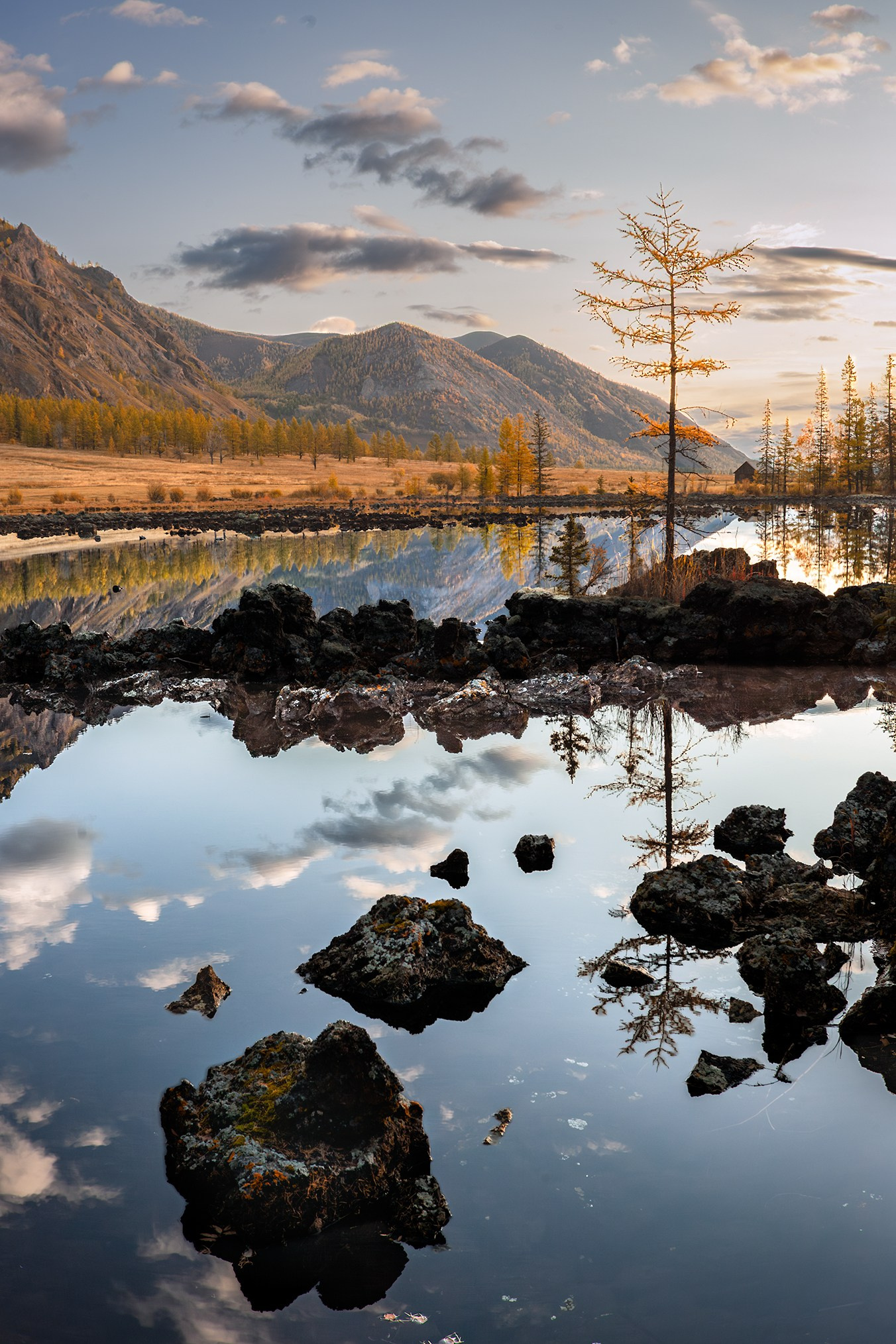 Услуги. High-quality interior photos for your home, office, hotel