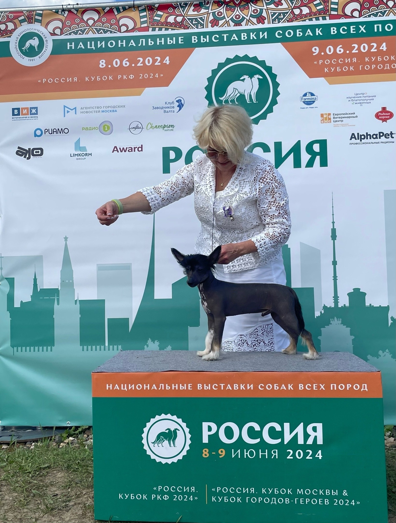 Вик в группе поддержки сегодня на выставке «Россия. Кубок РКФ 2024». Китайская хохлатая собака: купить щенка в питомнике