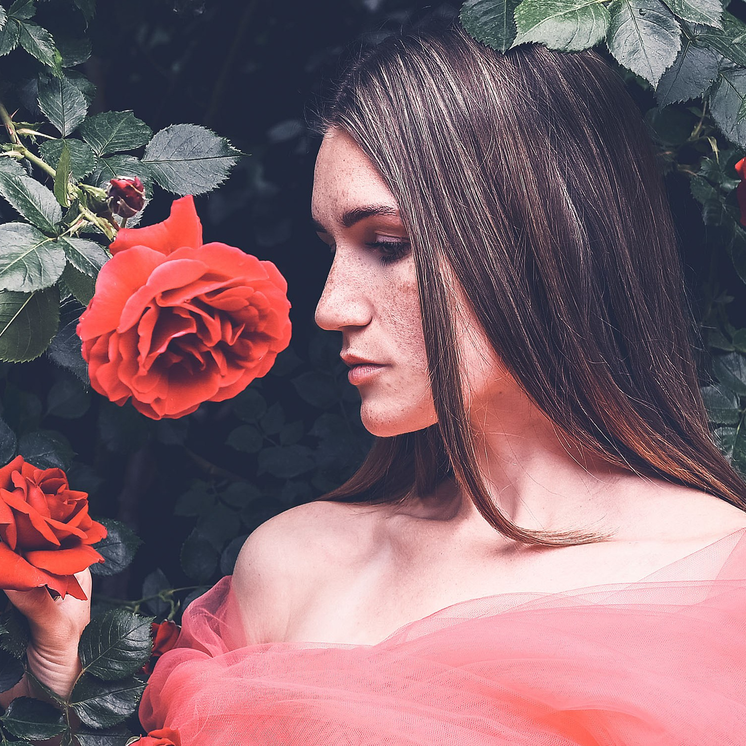 Конный портретный фотограф Наталья Шелест