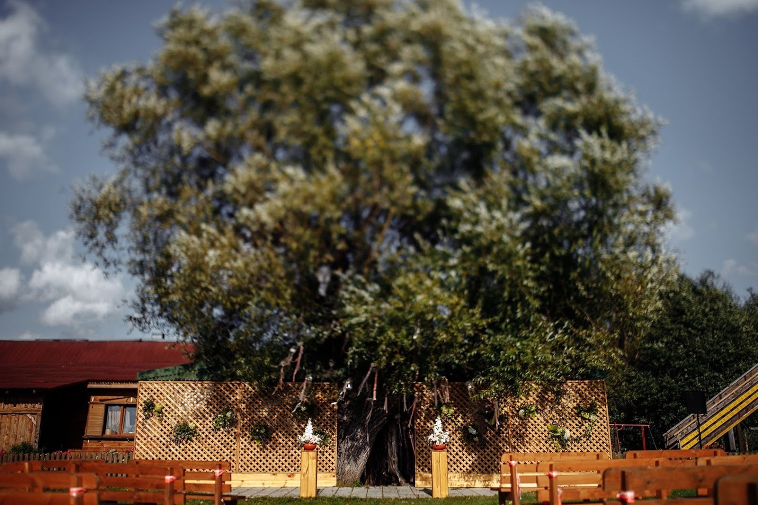 Лиза и Костя. 26 августа 2017. Анонс свадьбы. Фотограф Игорь Цаплин