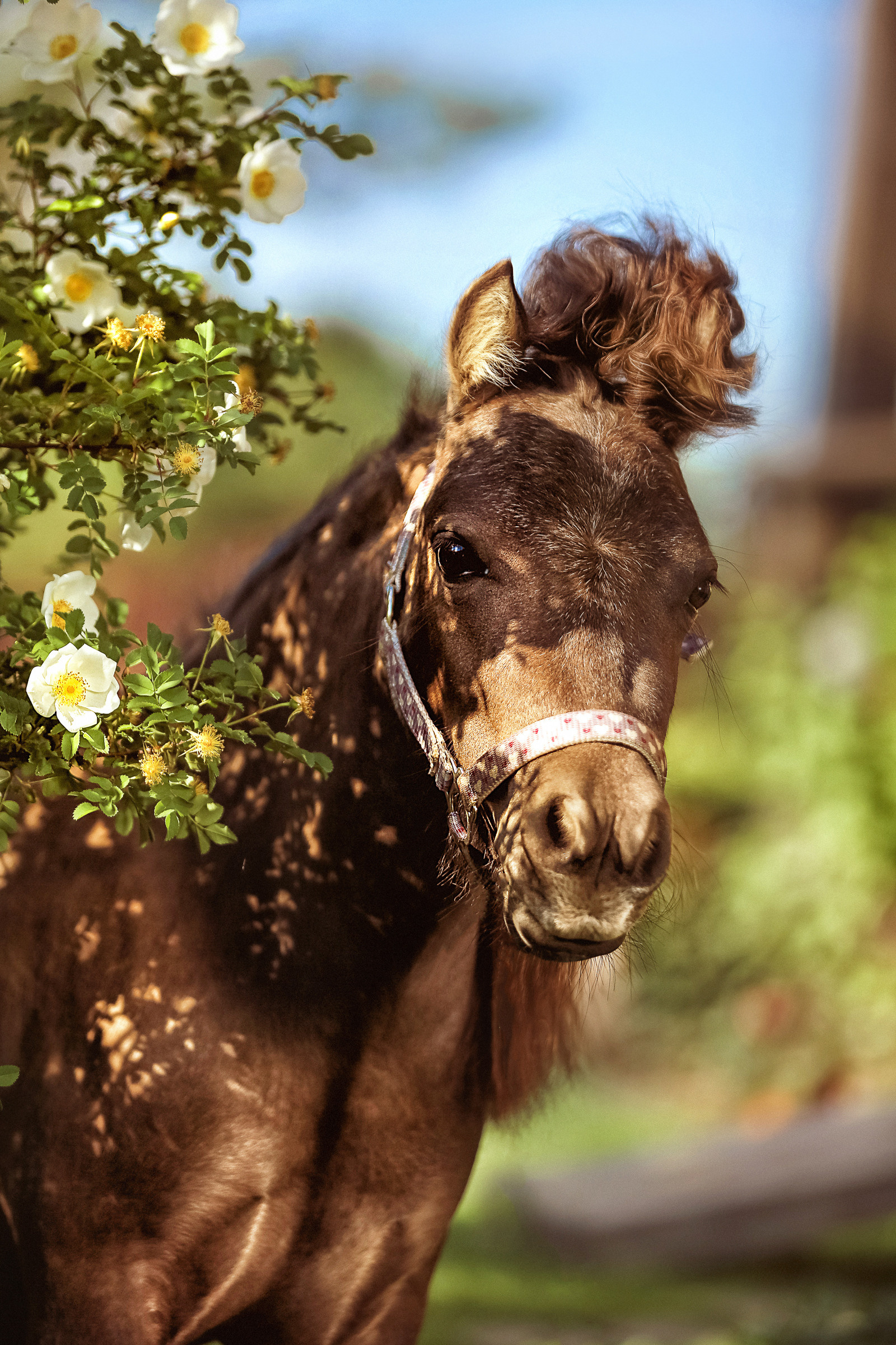 Фотограф женский и мужской портрет Санкт-Петербург