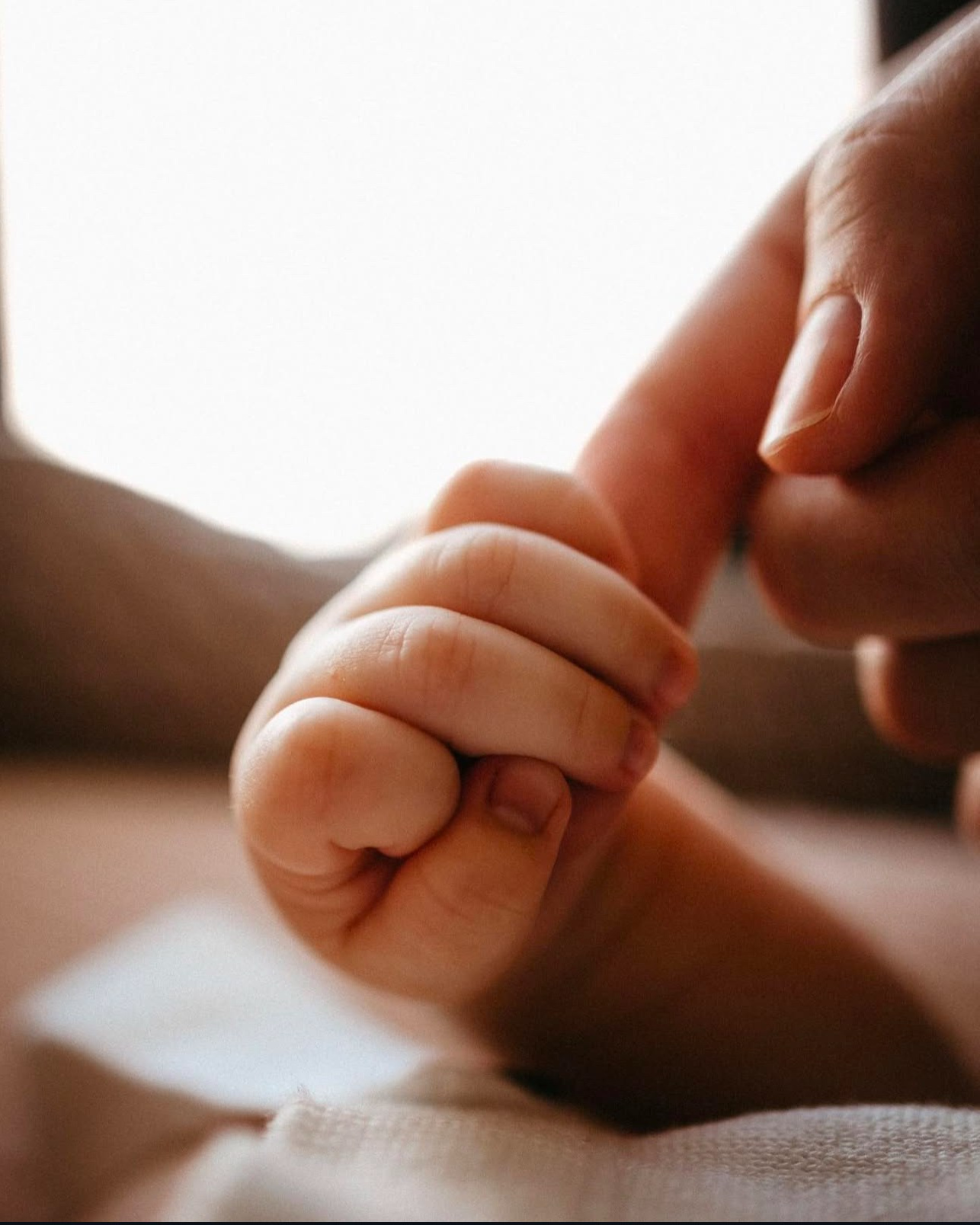 Прейскурант. Индивидуальный и семейный lifestyle фотограф Маргарита Мустафина