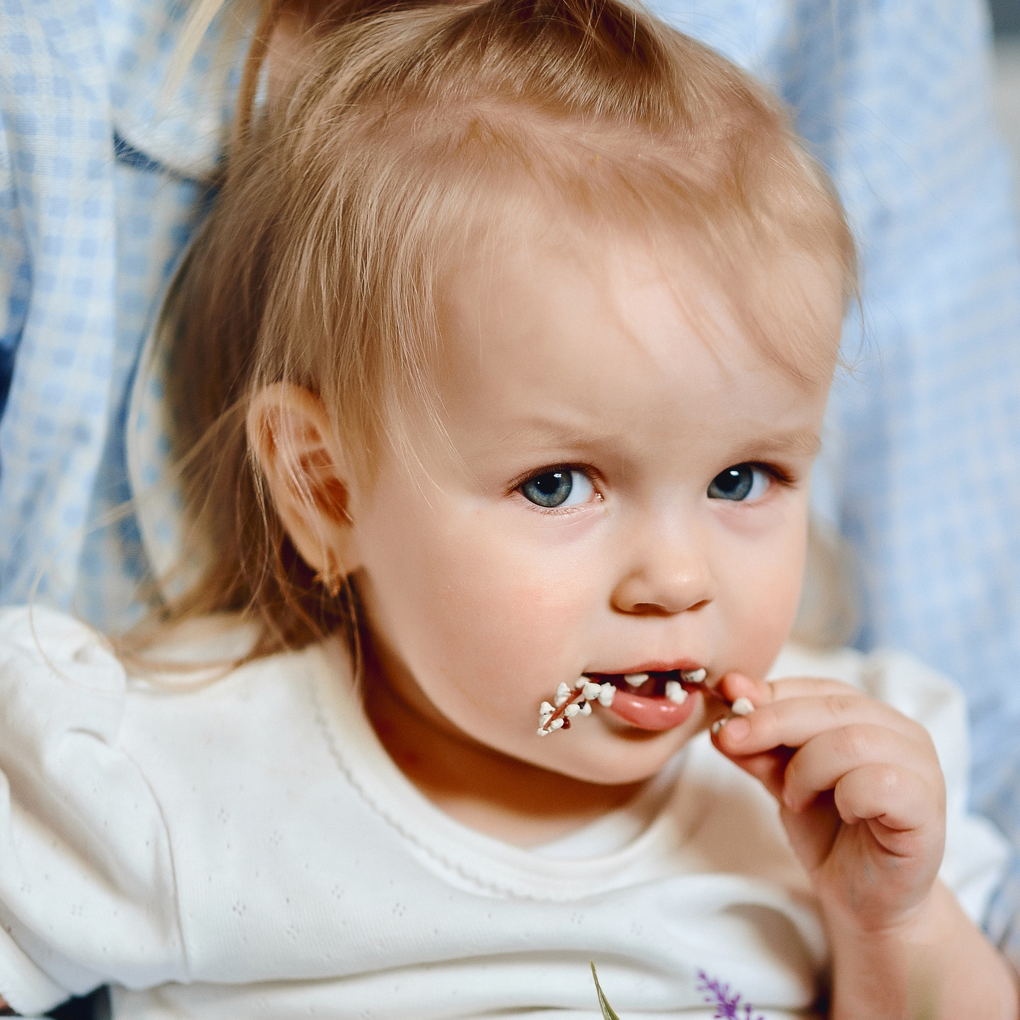 Услуги. Свадебный и портретный фотограф Орлов Никита