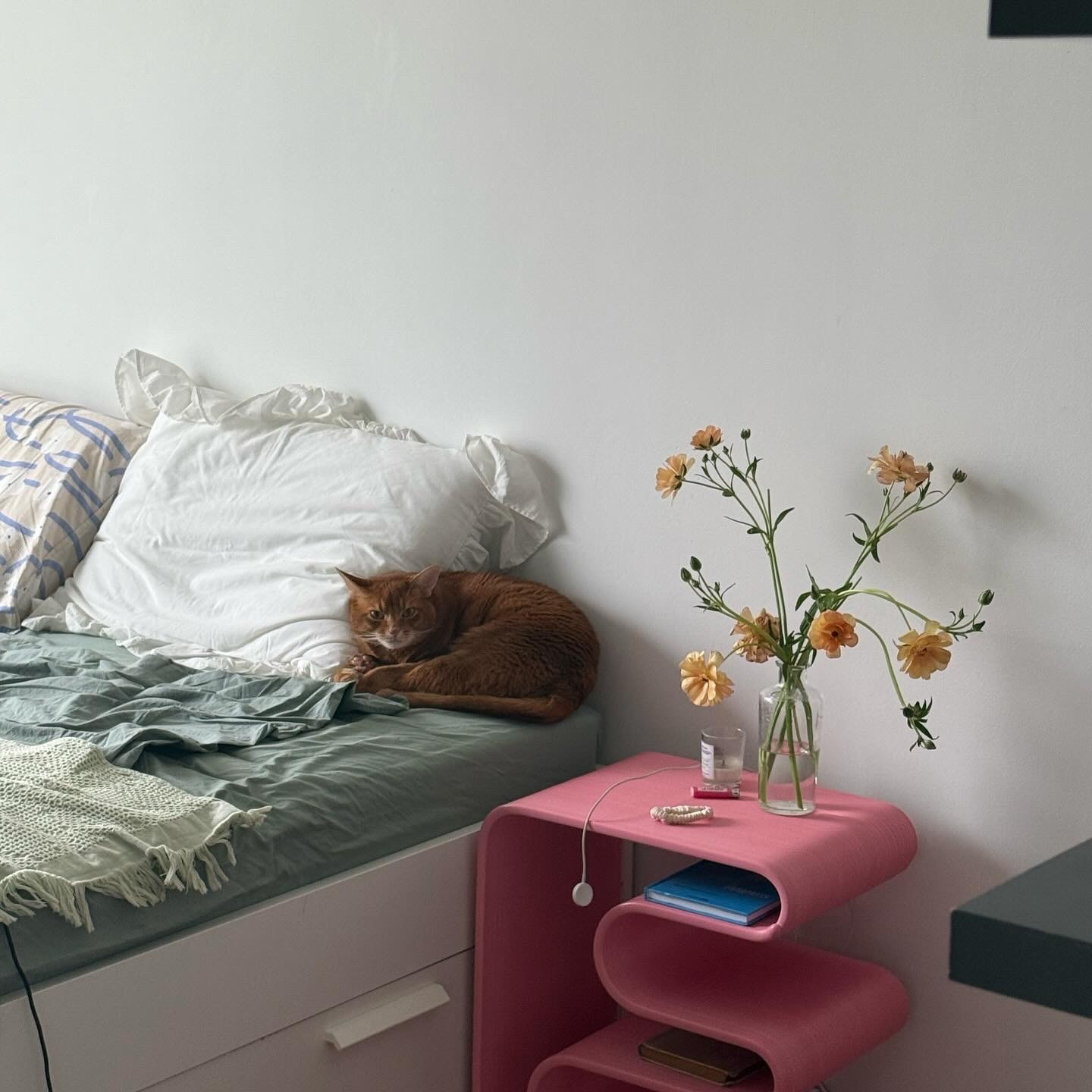 Услуги. Декоратор интерьеров Ксения Левдикова