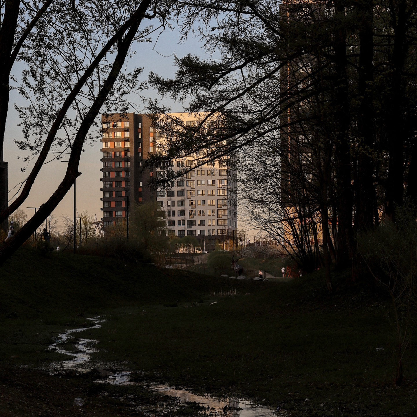 Обо мне. Фотограф Екатерина Негребецких