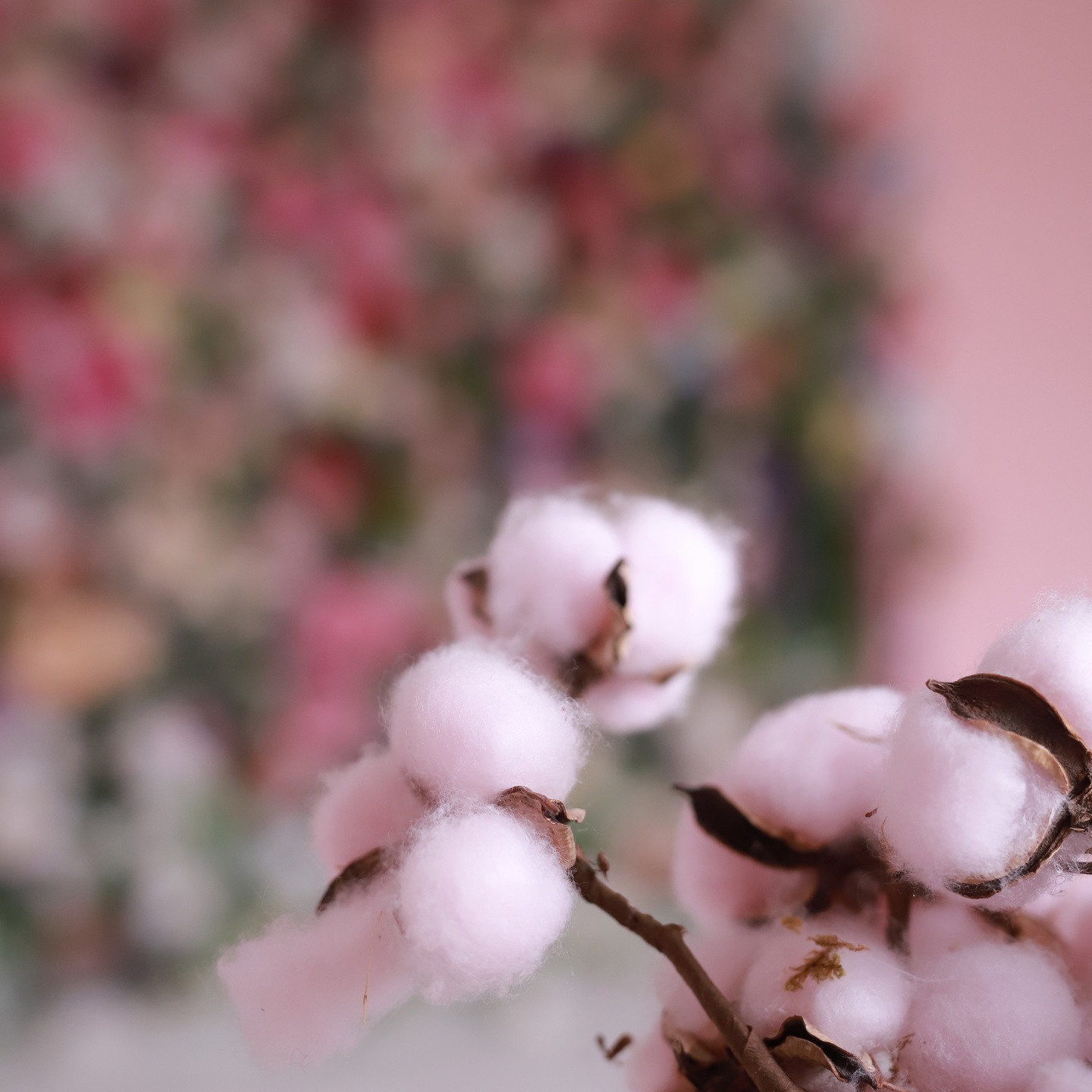 Фотостудии. Семейный, детский и свадебный фотограф