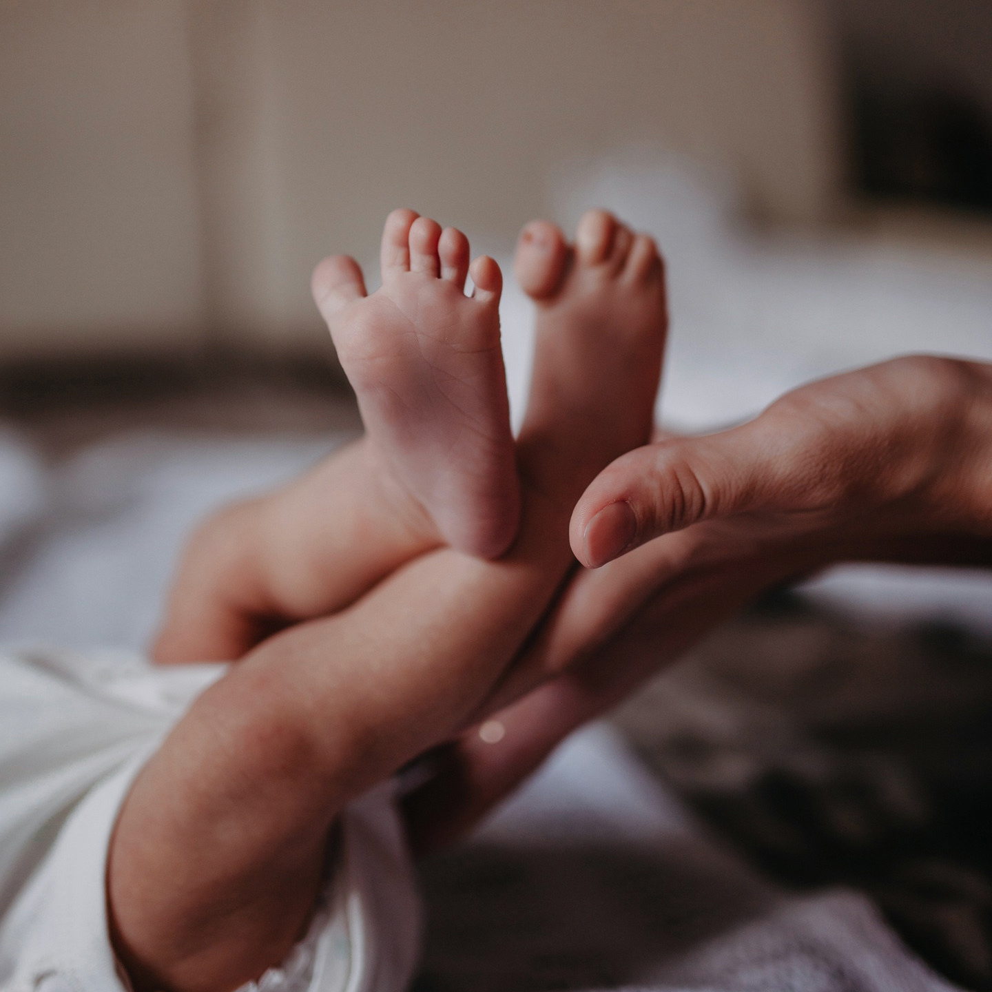 Услуги. Фотограф Шелудкова Яна, город Тюмень