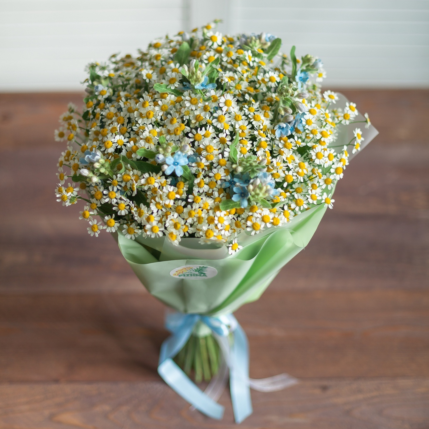 Букет ромашки и оксипеталум. Флорист Маргарита Гладкова