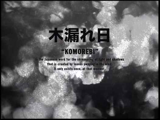 О чем фильм Идеальные дни. Фотограф | Макс Коробкин