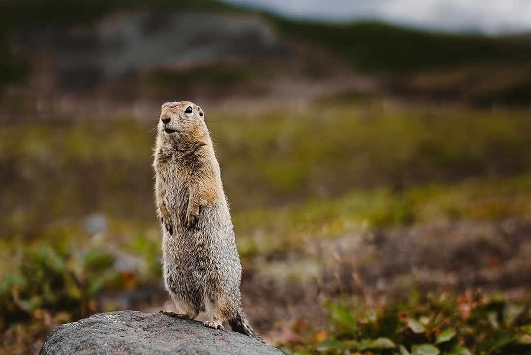 Камчатка | лето — осень