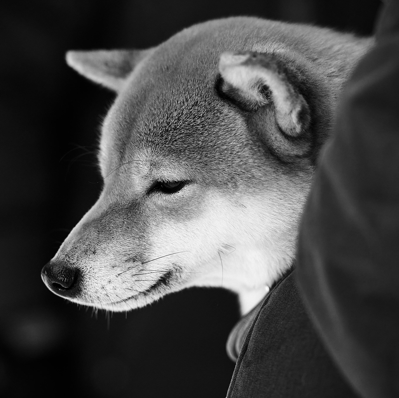 Репортажный и семейный фотограф — Шелихов Сергей