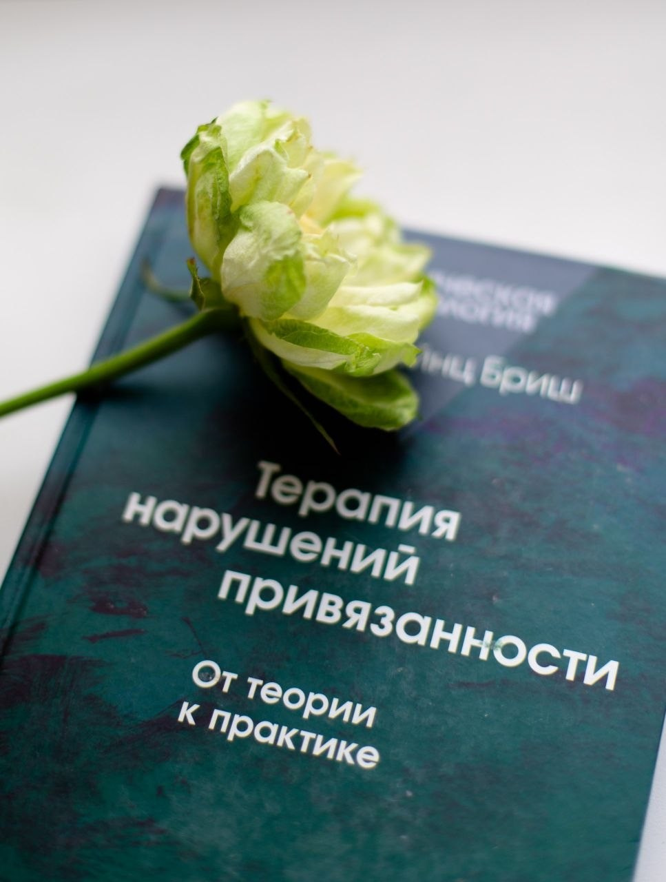 Психолог и психоаналитический психотерапевт Юлия Шадрунова