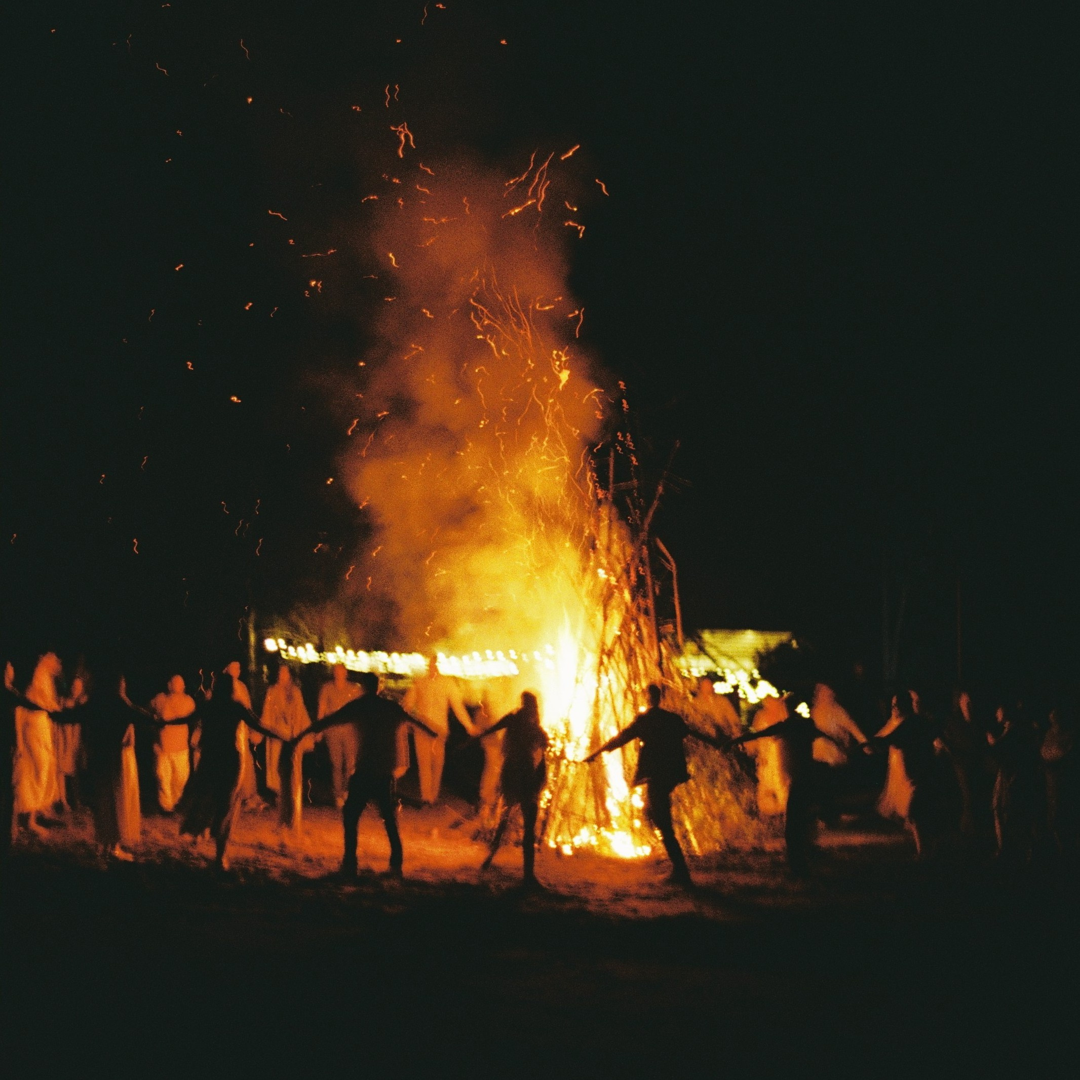 Услуги. Свадьбы