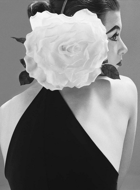 Ричард Аведон. Выпускные альбомы, фотограф Денис Зимин в городе Ростове-на-Дону