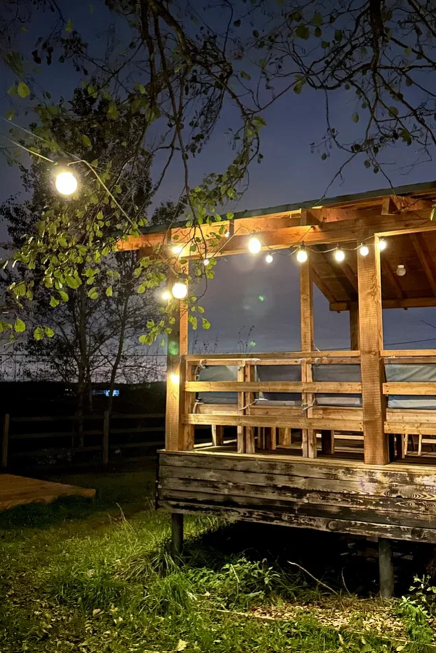 Таинственный лес души. Вояж Себя.Дикой.Осенью. Трансформационное женское мероприятие