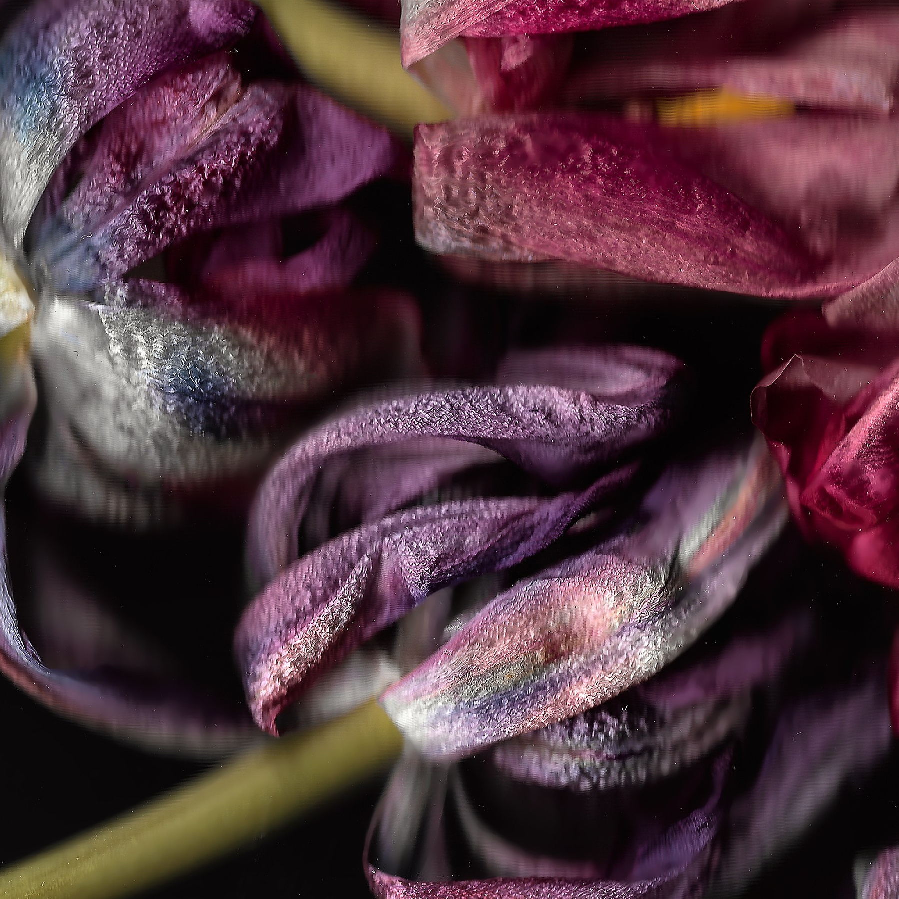 Фотопринты. Детский и семейный фотограф Зоя Павкина