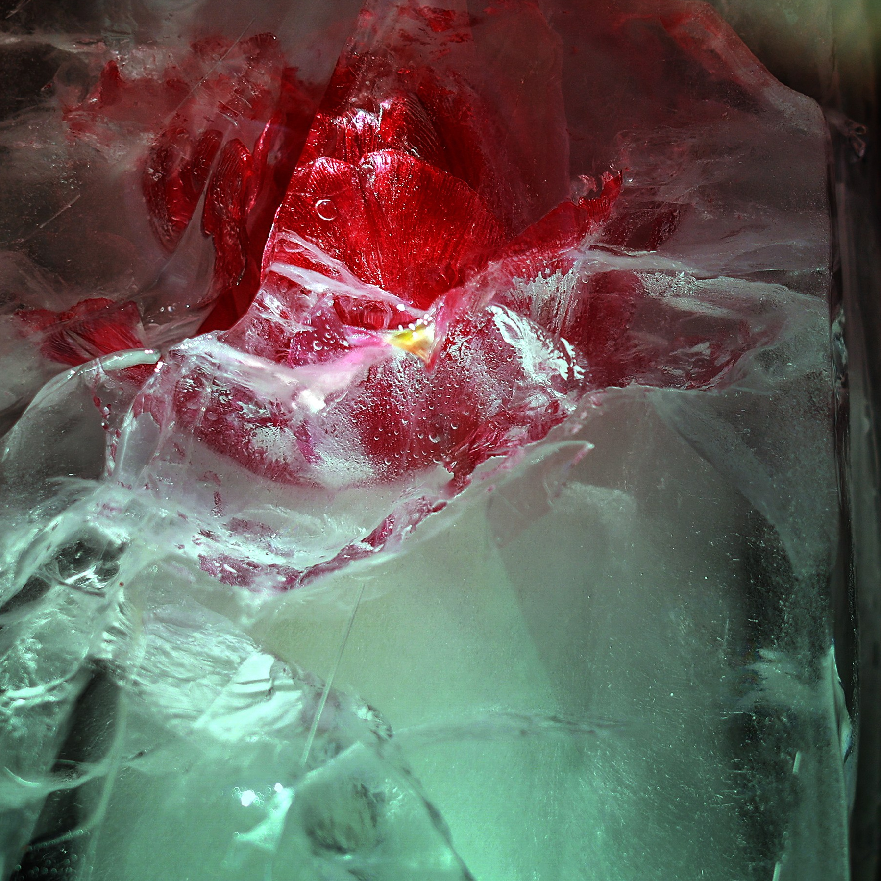 Фотопринты. Детский и семейный фотограф Зоя Павкина