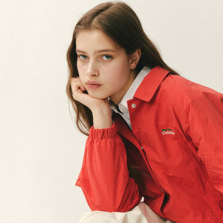 Alisa. Axis model management
