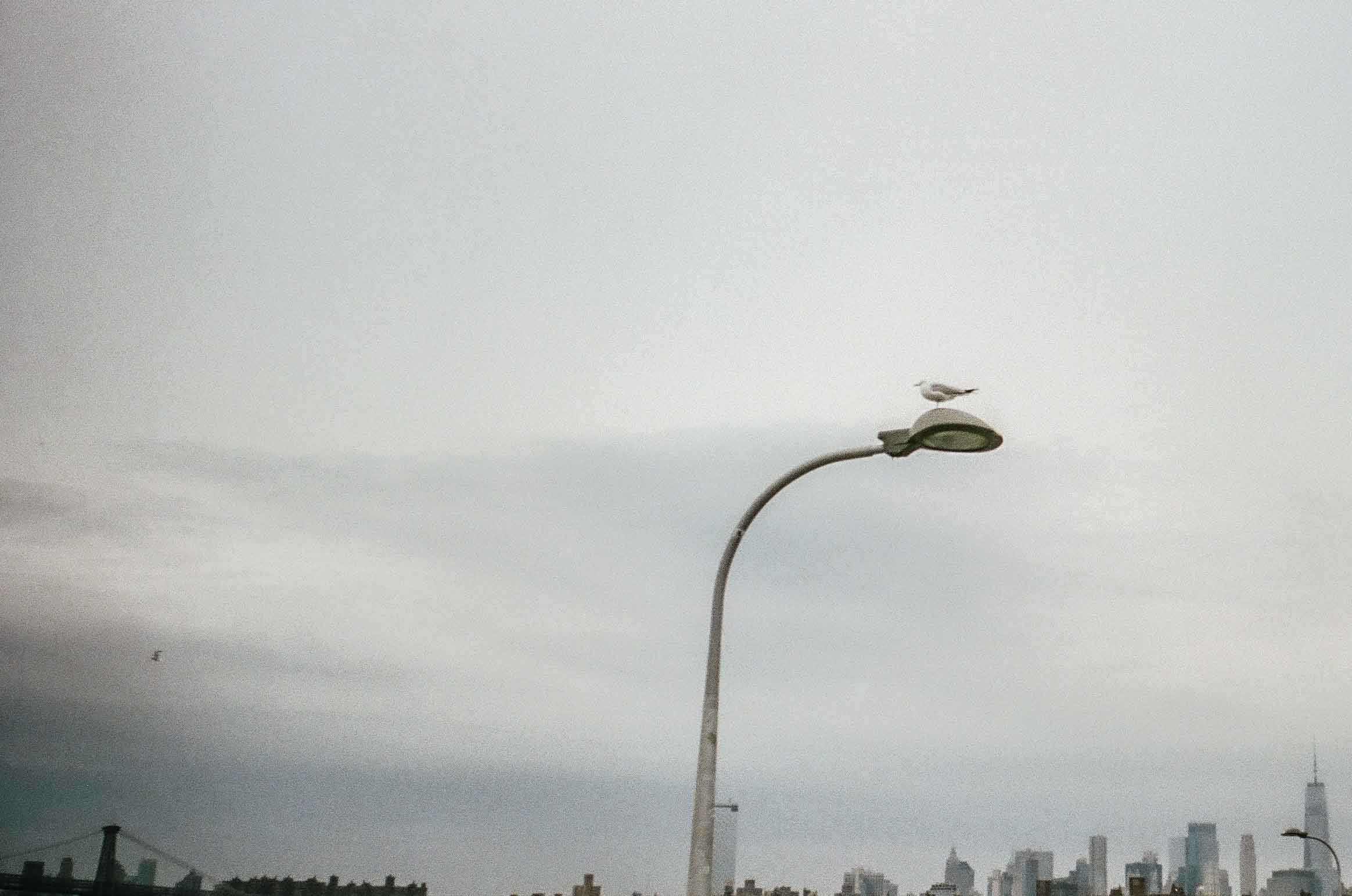 WILLIAMSBURG AS IT WAS. Anna Esquilin Art Photographer