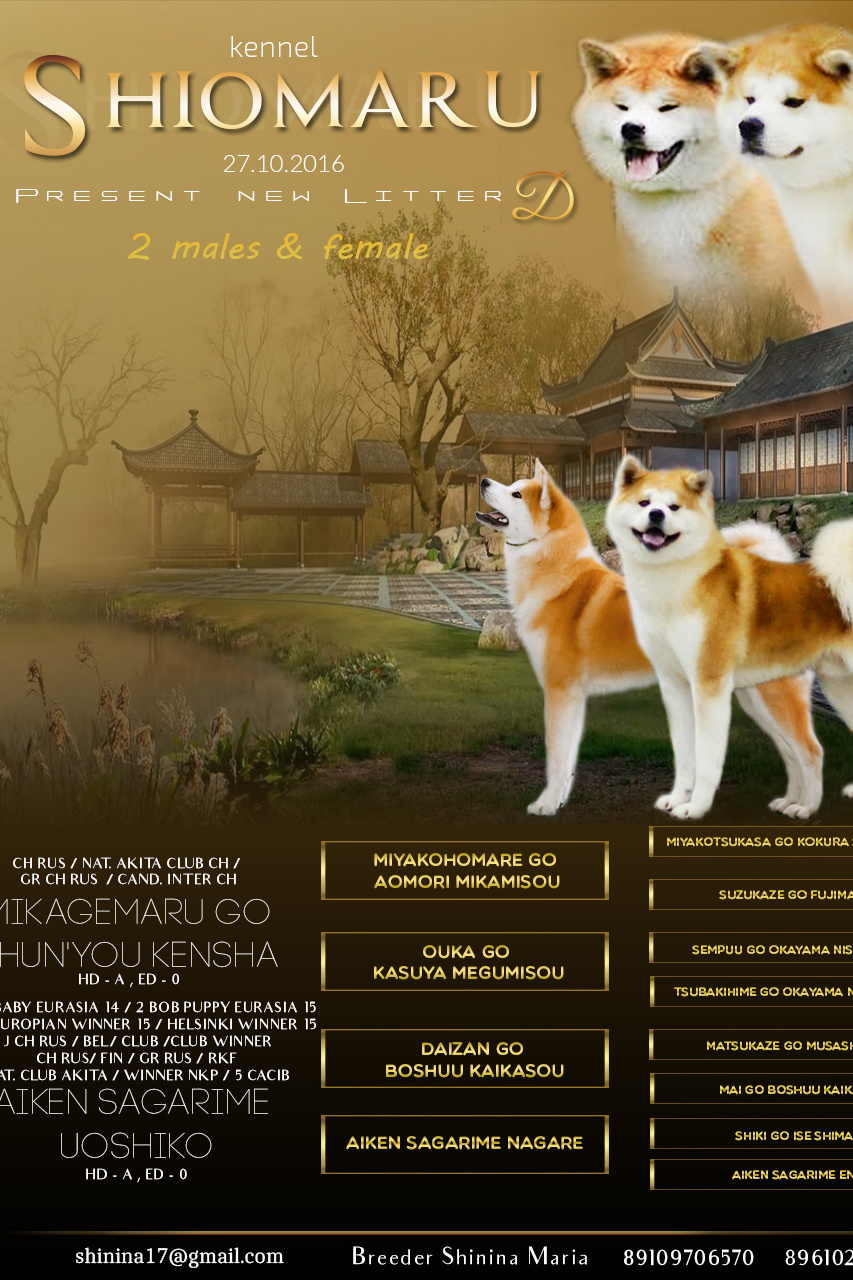 LITTERS. SHIOMARU Shiba and Akita Inu Kennel