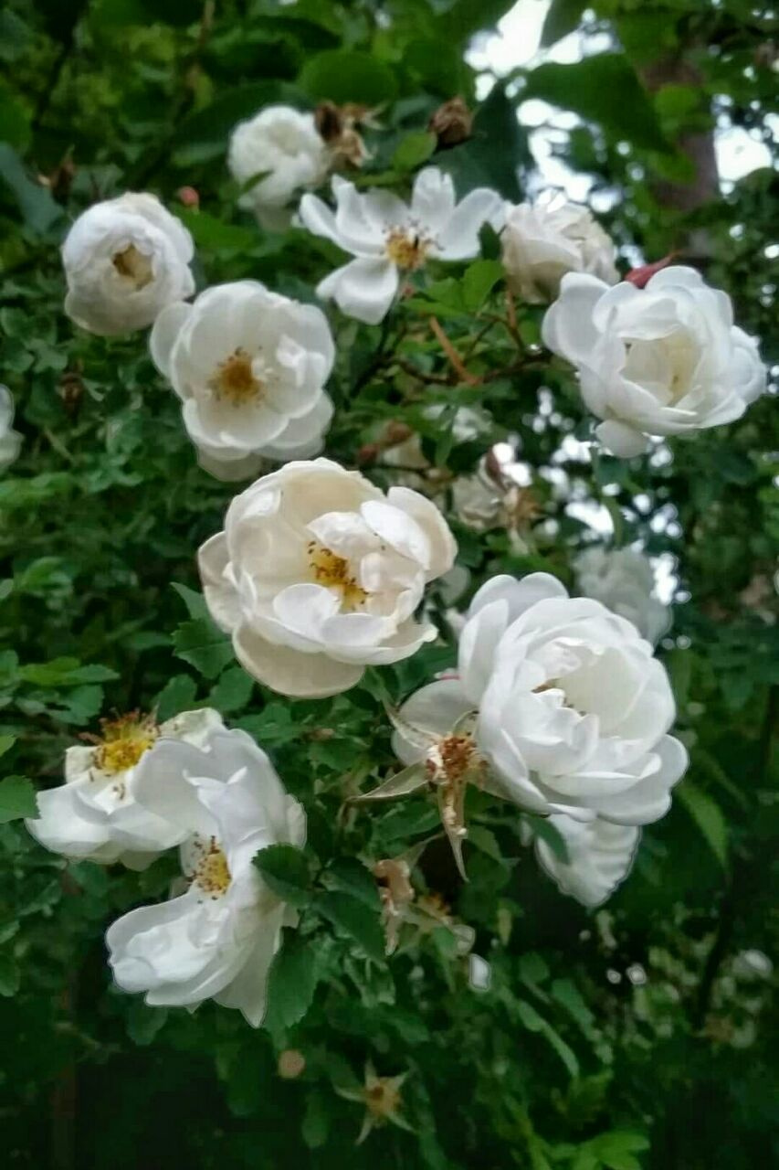 Вдохновение дня — начало нового