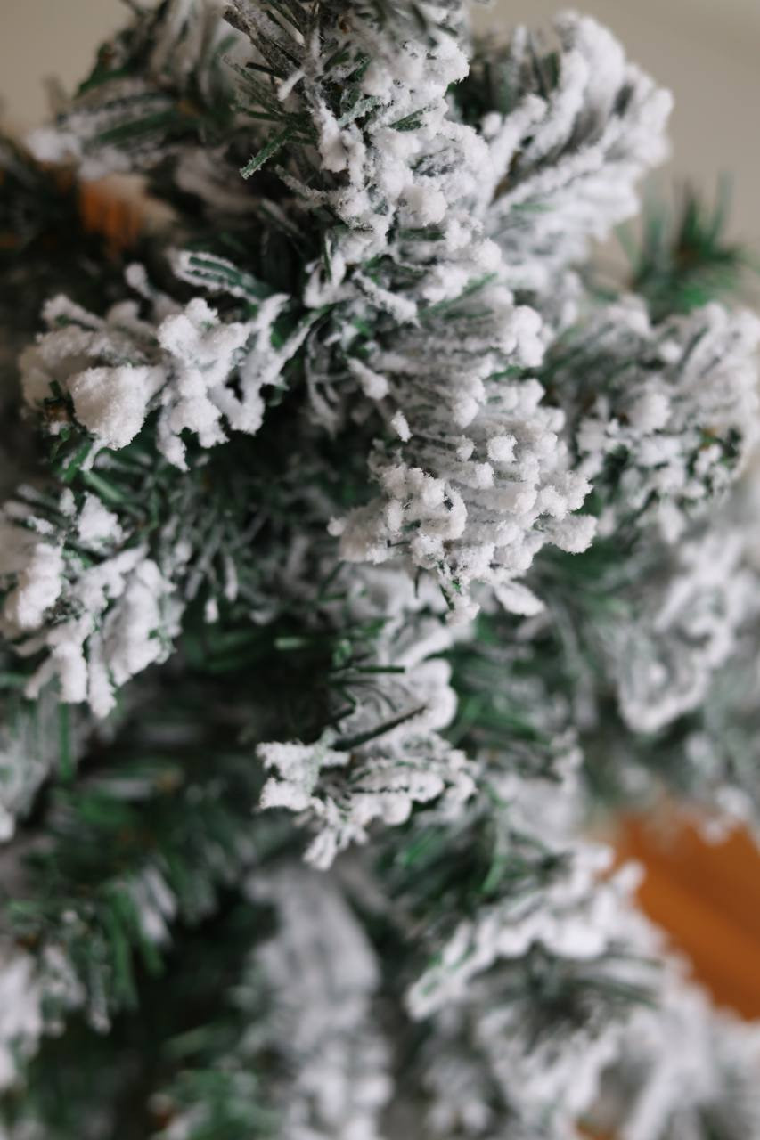 Предметная съемка для маркетплейсов. История продажи елки | Sale Easy