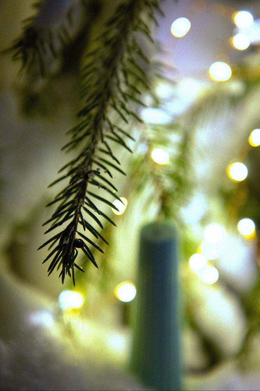 Время чудес. EXCELIGMOS — эксклюзивные свечи ручной работы