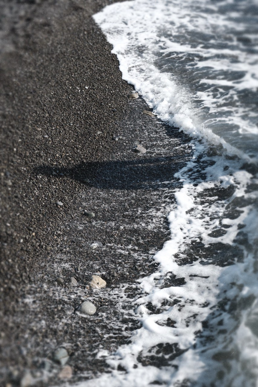 MOMENTS. Alyona Rubanova — Visual artist