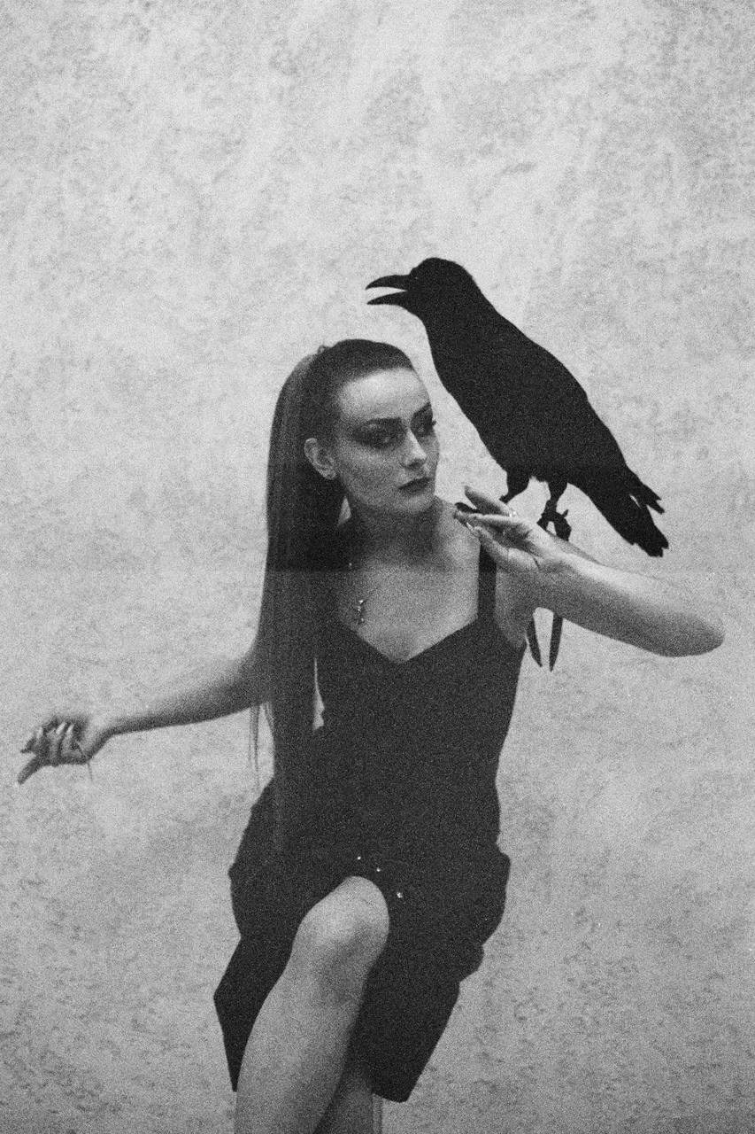 Фото и видеосъемка с черным вороном в Москве