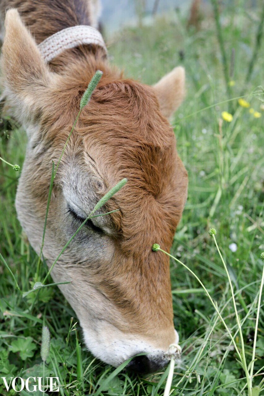 Публикации. Женский портрет вне времени. Санкт-Петербург