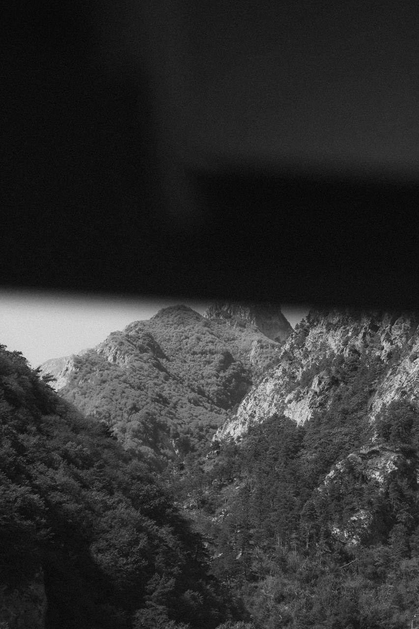 Me and services. Репортажный и творческий фотограф в Москве Смольякова Анна