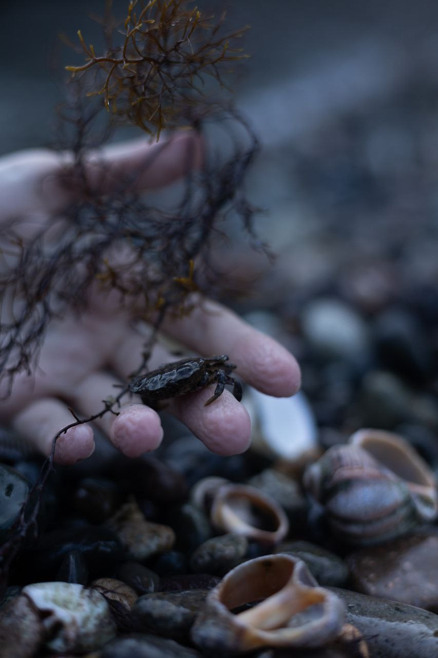 Mermaid. Art photographer Tatiana Serbina