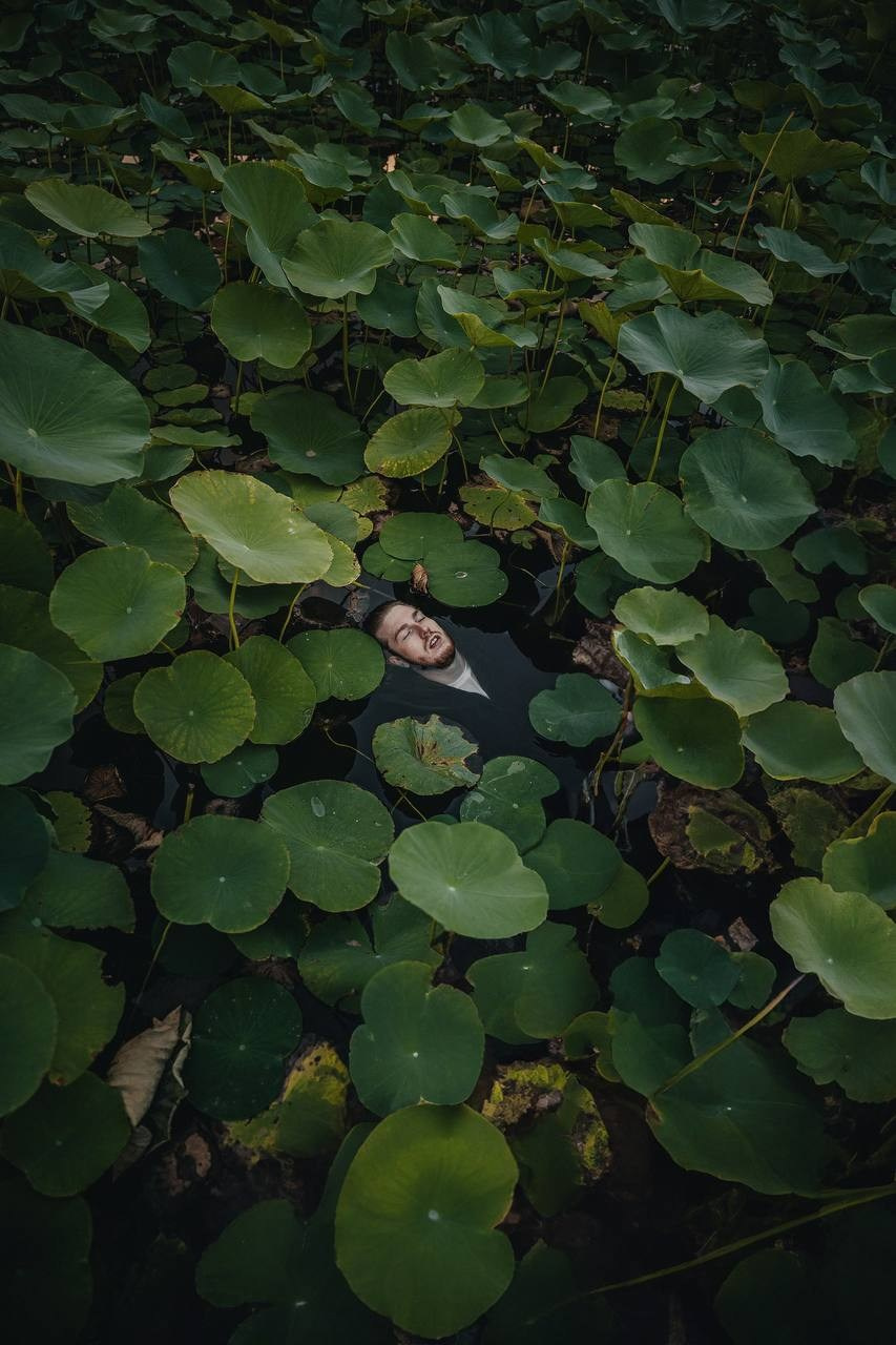 Мужчина в костюме лежит среди густых лотосов на воде