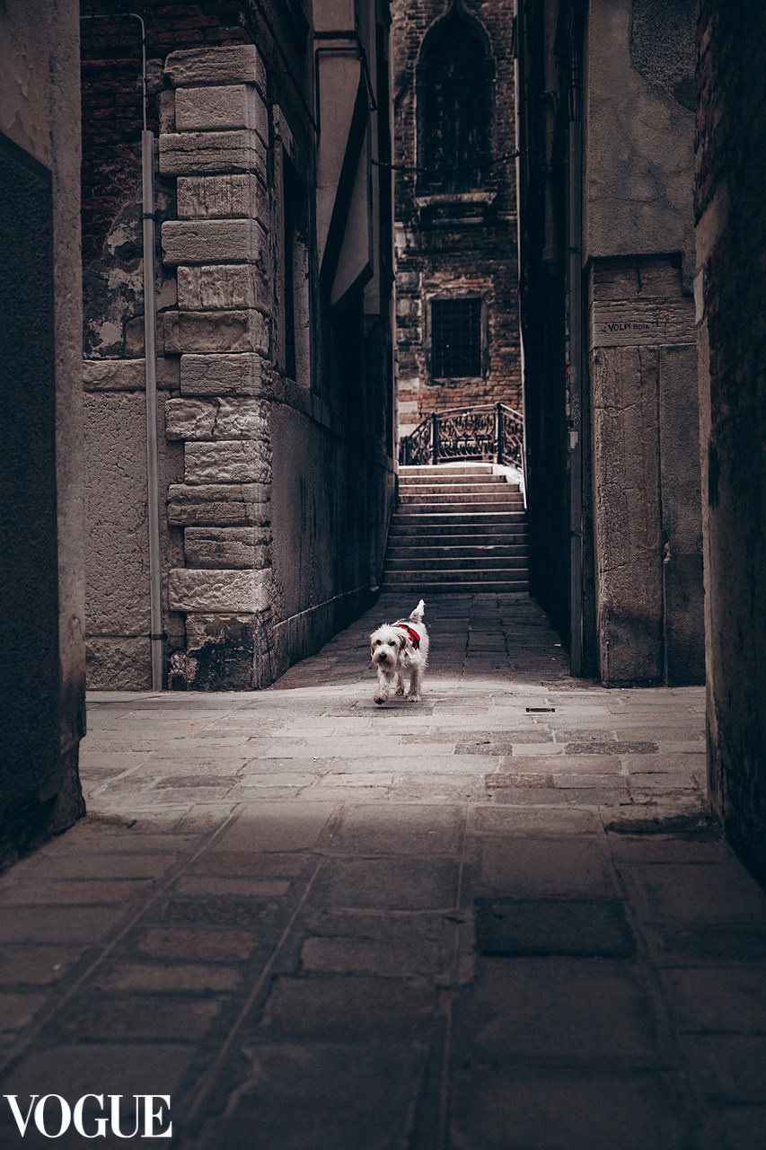 Выставки и конкурсы. Репортажный и детский фотограф в Минске