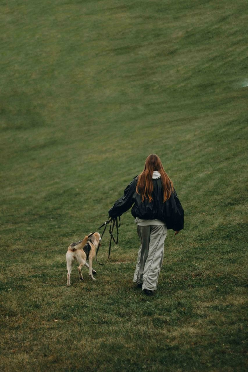 Забери домой друга