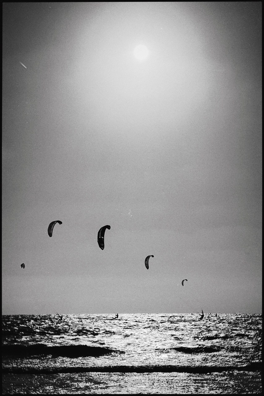 Каневская Ирина. Организация фотовыставок в Петербурге и Москве, MFamilia (МФамилия)