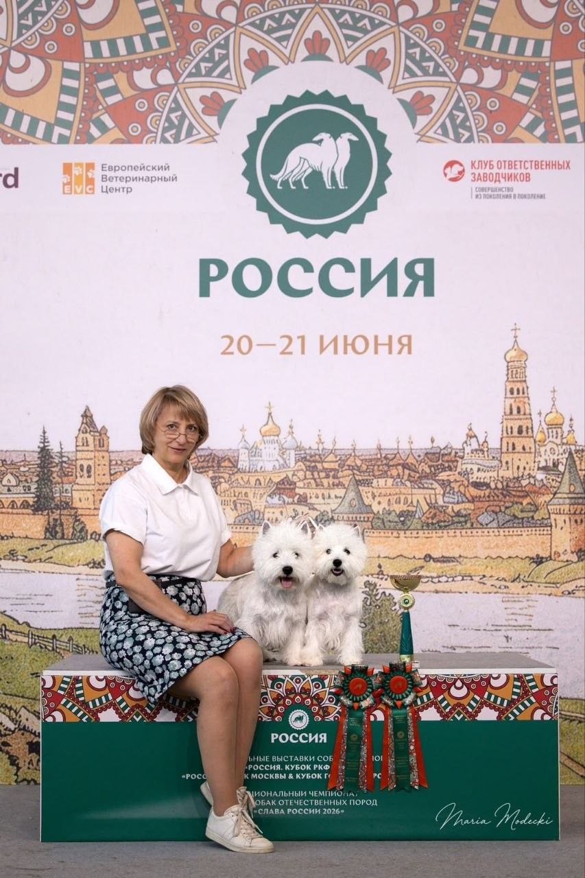 Крупнейшая выставка страны «Россия-2026». Питомник собак породы вест хайленд вайт терьер в Москве
