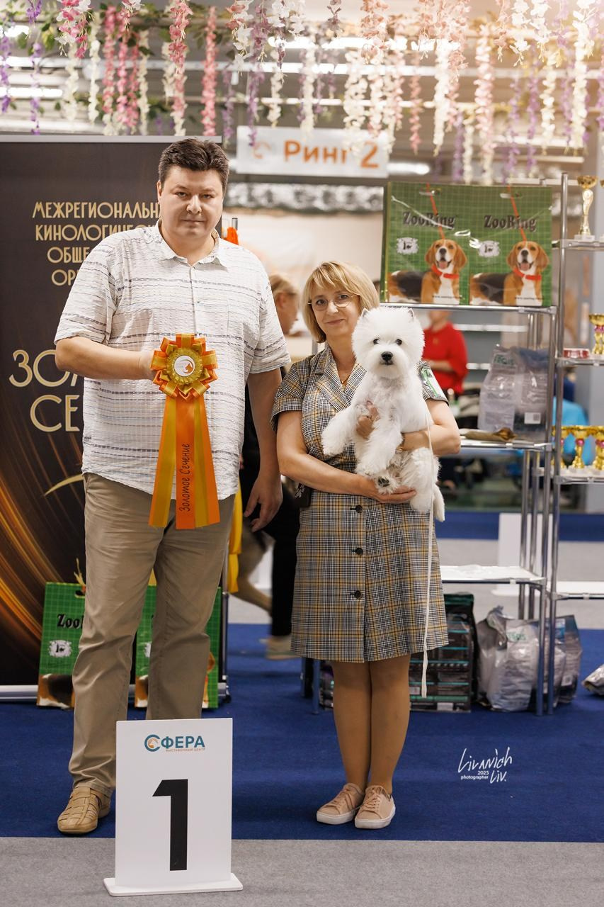 Москва — МКОО «Золотое сечение». Питомник собак породы вест хайленд вайт терьер в Москве