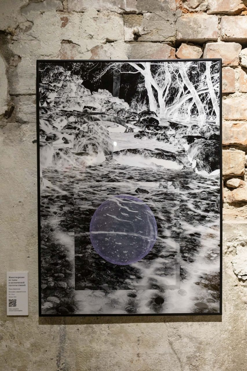 Галереи, выставки, арт-проекты. Visual artist, photographer Liana Darenskaya, Moscow