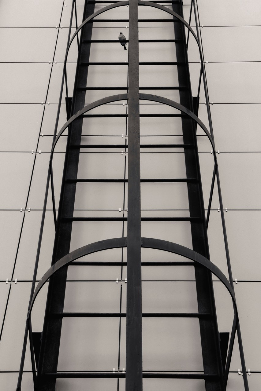 Савчук Елена. ARTEXPOPHOTO