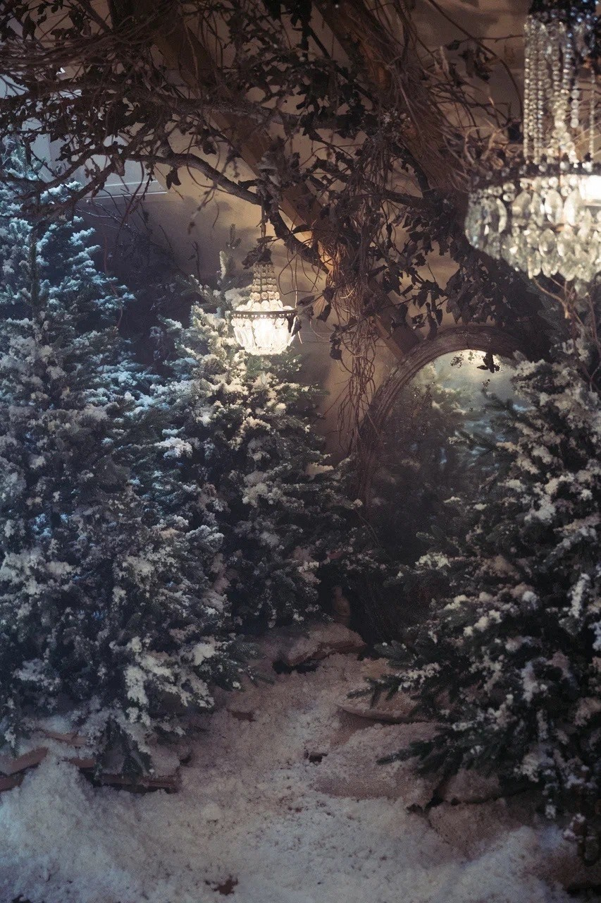 Нестандартные новогодние фотостудии в Москве в 2025 году. Фотосессия под ключ в Москве — креативные, женские и семейные съёмки | Фотограф Анна Лебедева