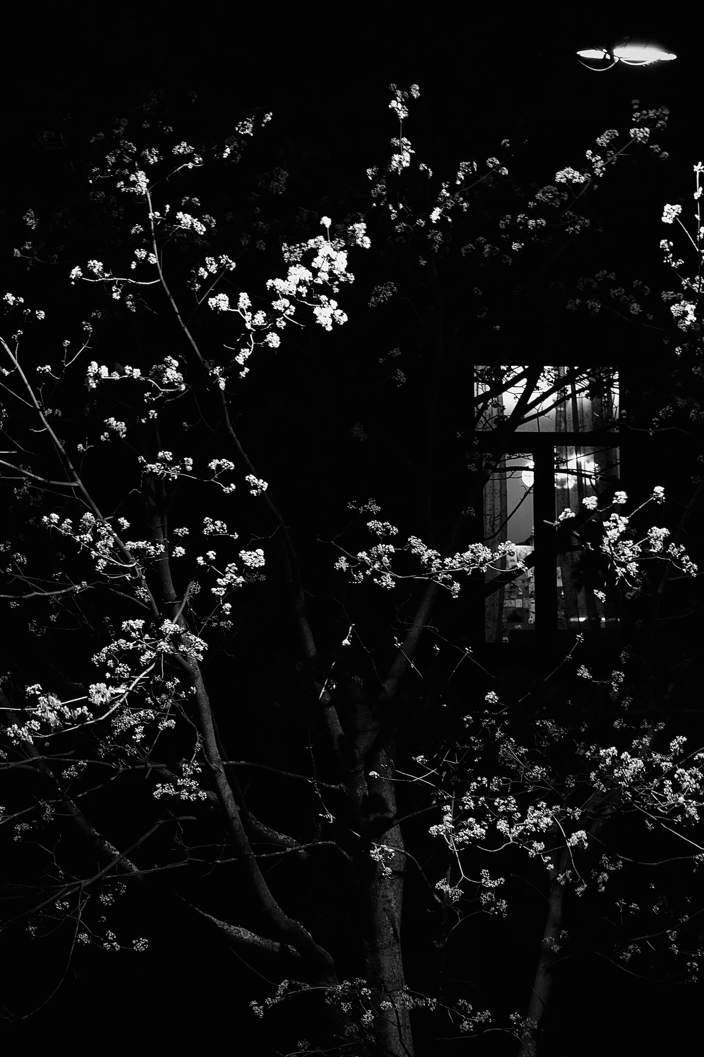 JUST PASSING BY. AI — artist | Documentary Photographer St. Petersburg, Milan