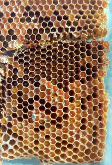 Перга в сотах