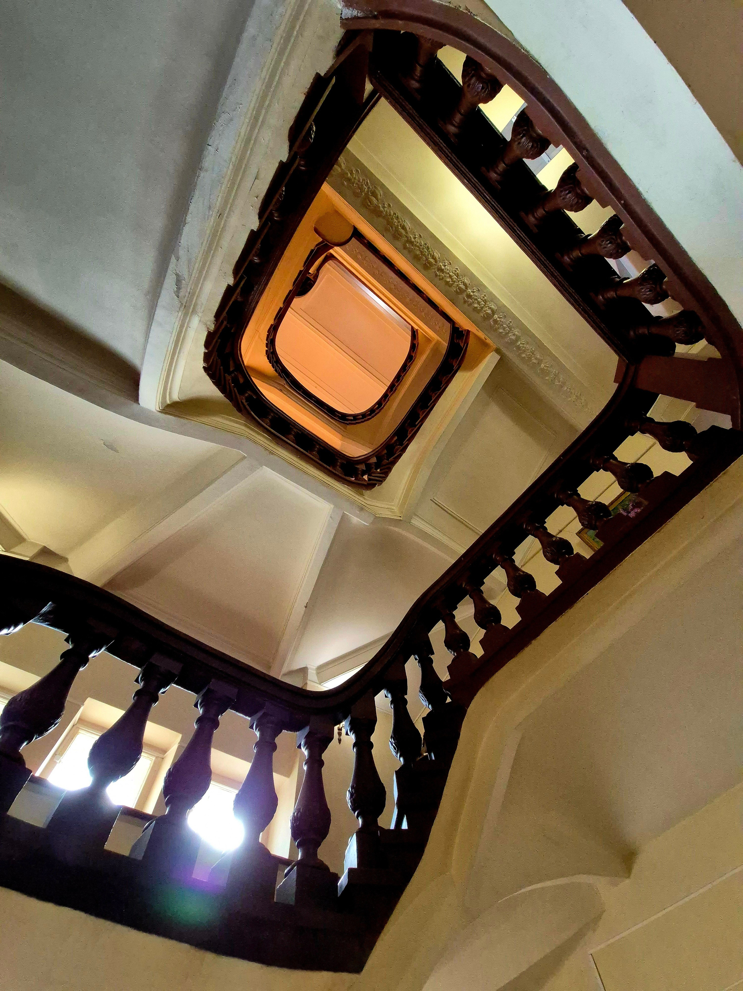 2025. Walk & Fly with Batay