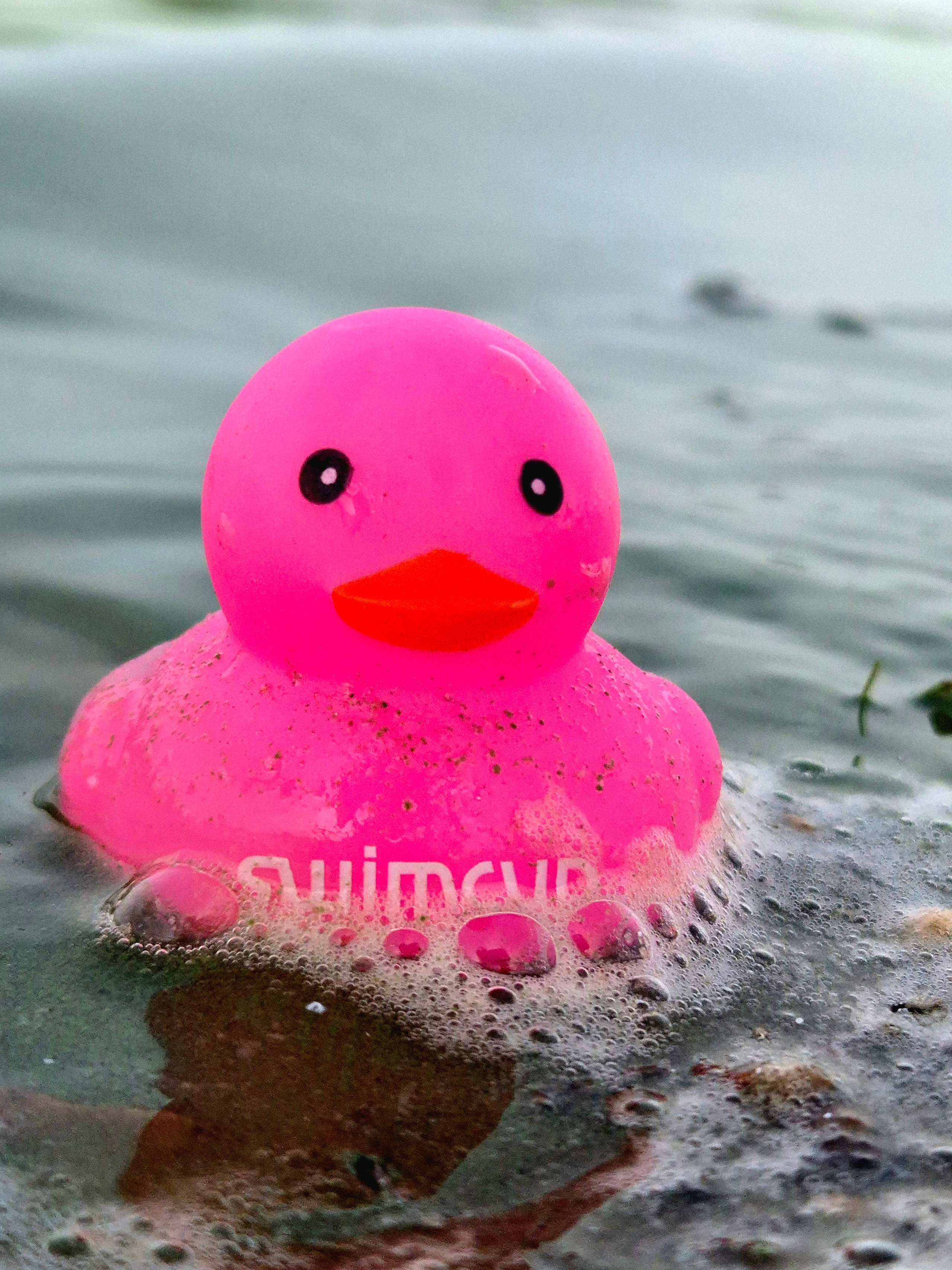 2025. Walk & Fly with Batay