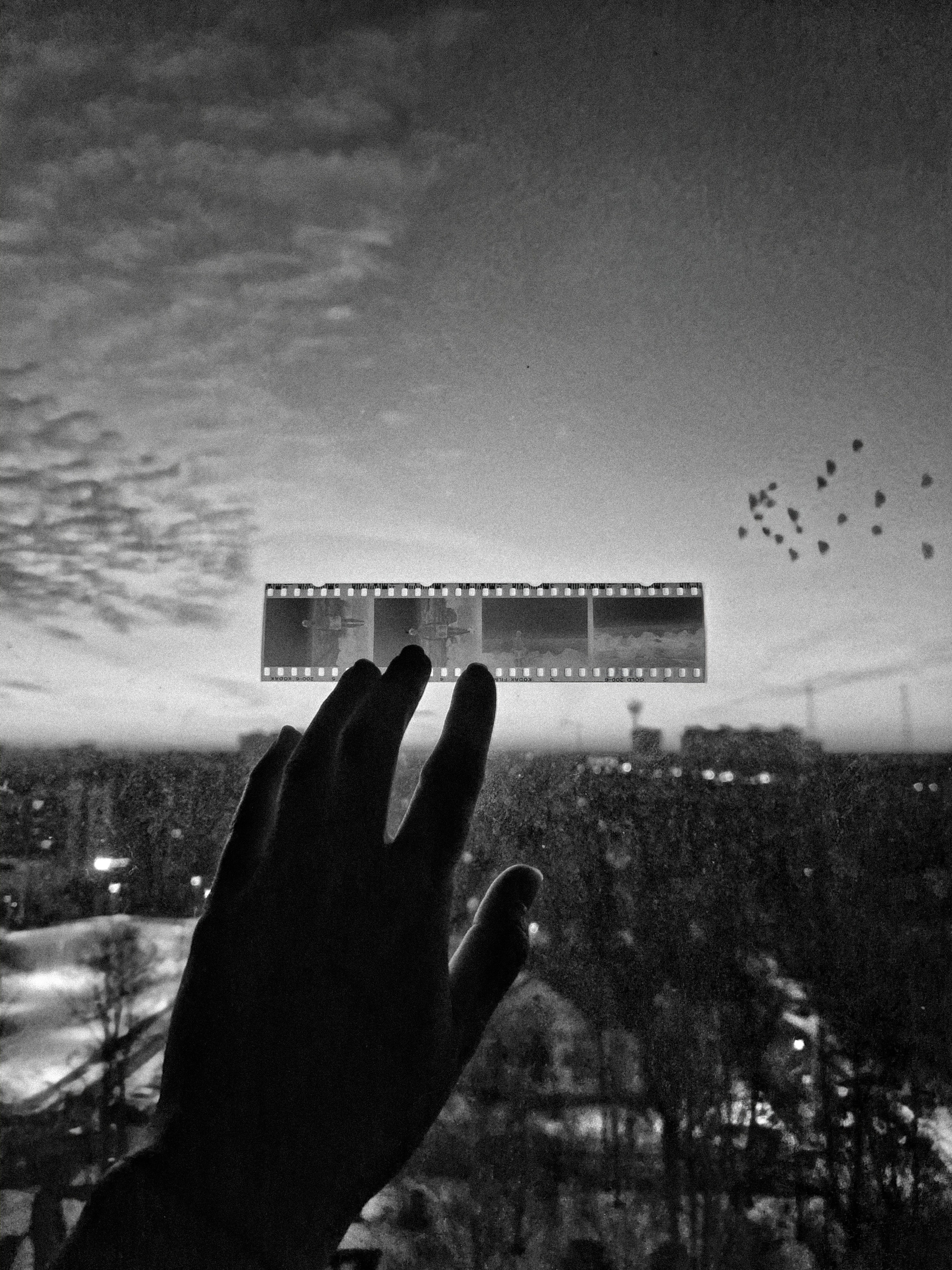 «Кадр&Слово». ФотоМарафон ПроКреатив — пространство креативной фотографии и визуального мышления