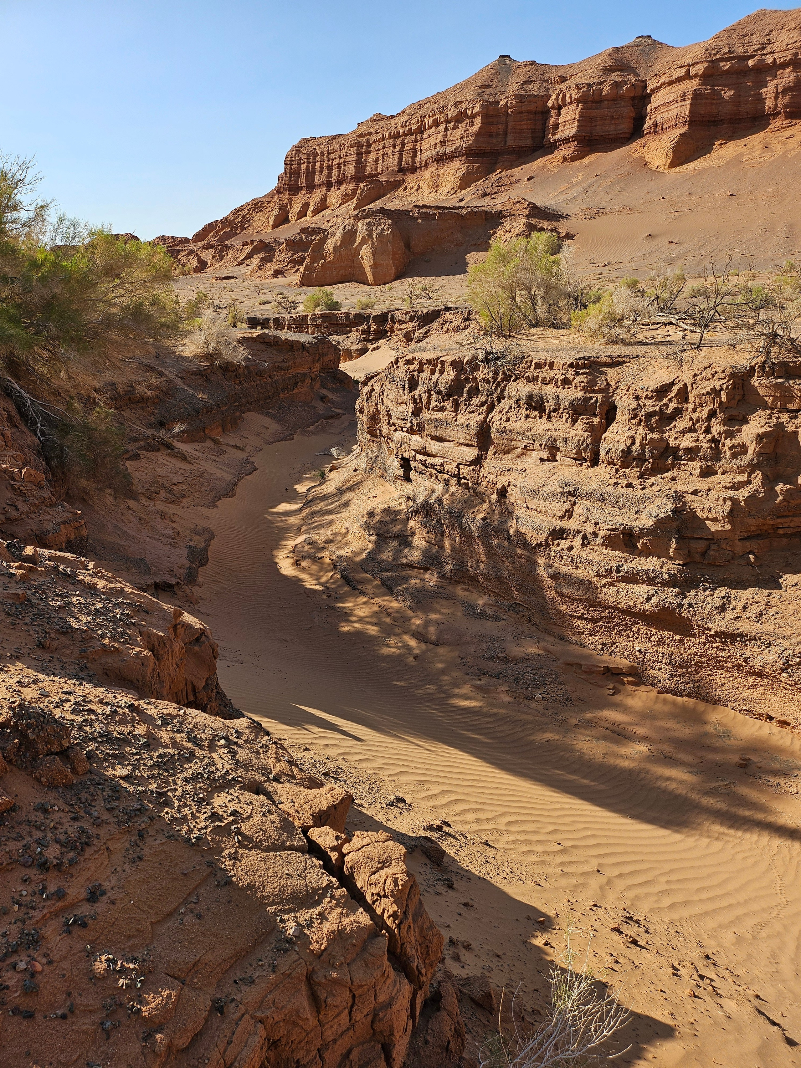Экспедиция в Монголию (Гоби). Семоха Валерий. Фотограф
