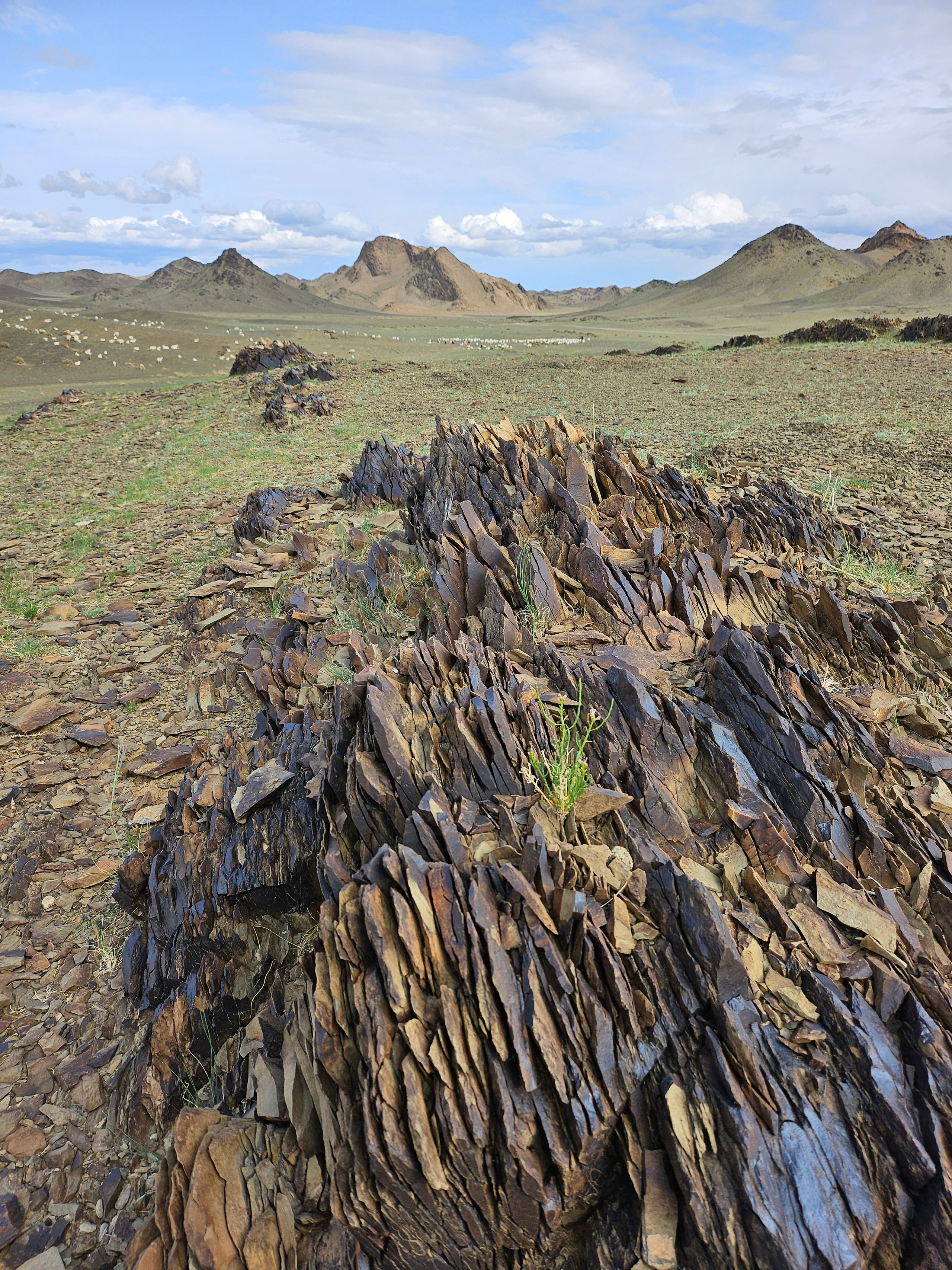 Экспедиция в Монголию (Гоби). Семоха Валерий. Фотограф