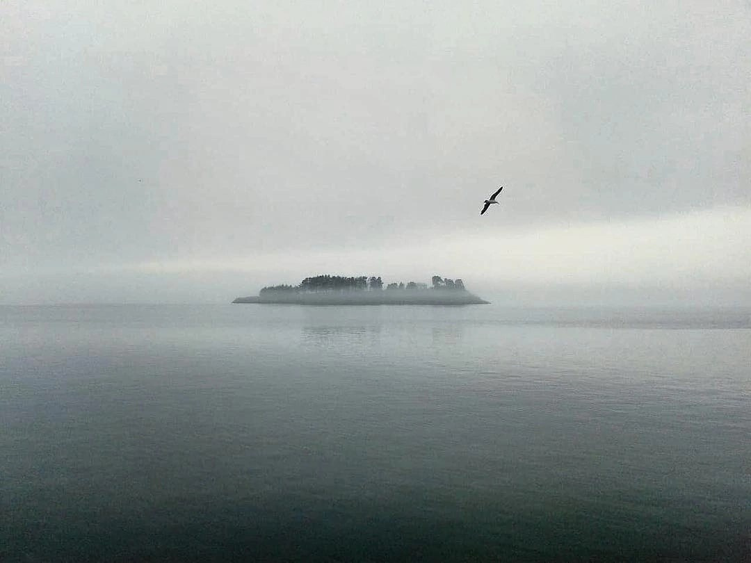 Читальный зал. Марина Рыбкина — Глубинная психология